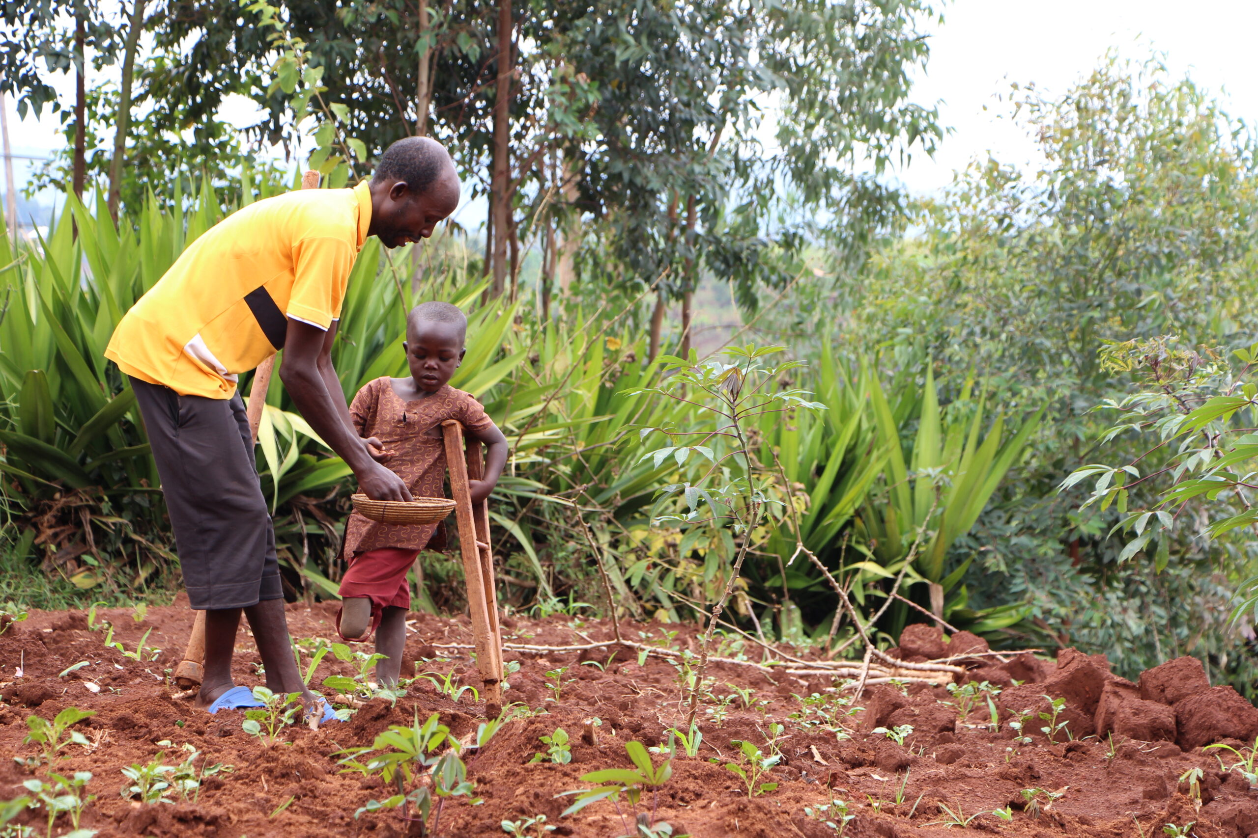 Franck helpt zijn vader op het land