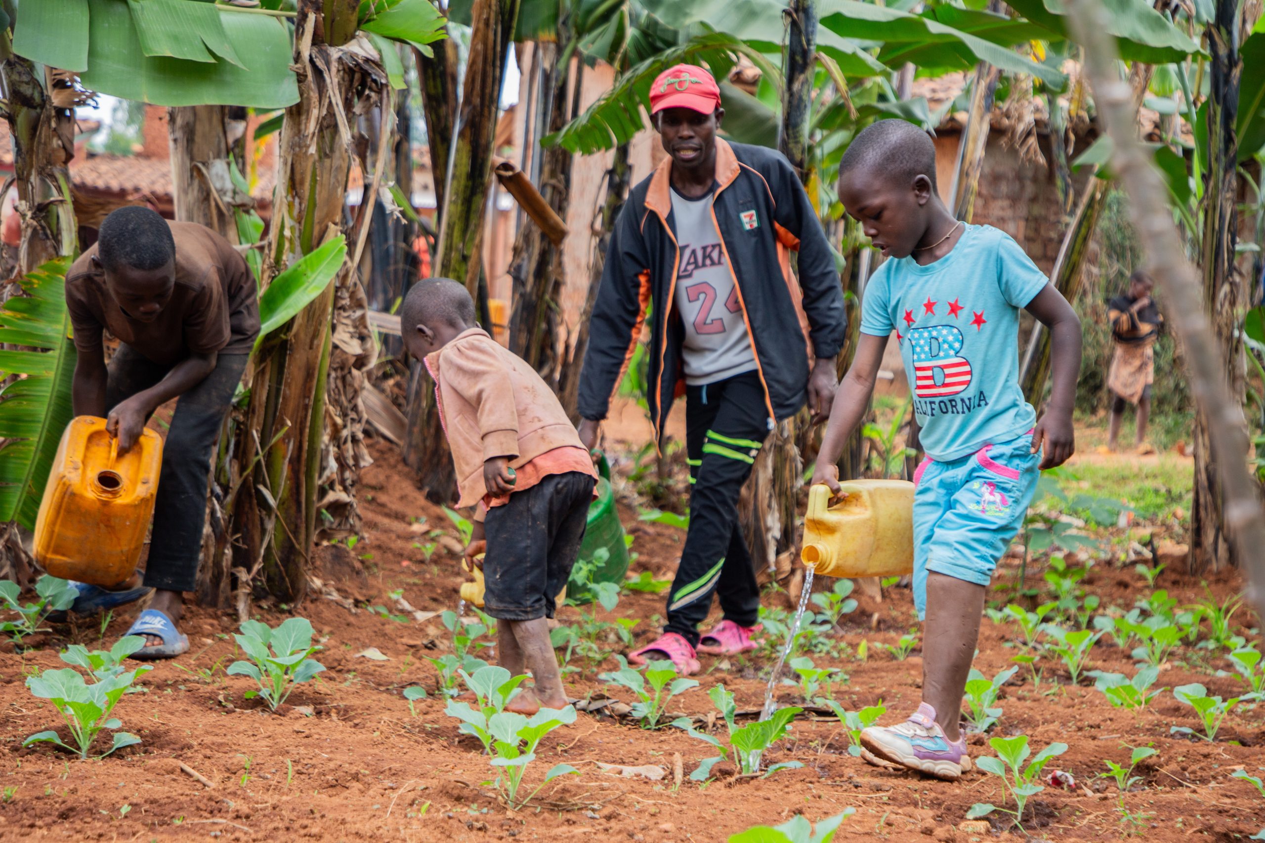 Franck helpt op het land