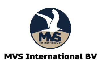 MVS international